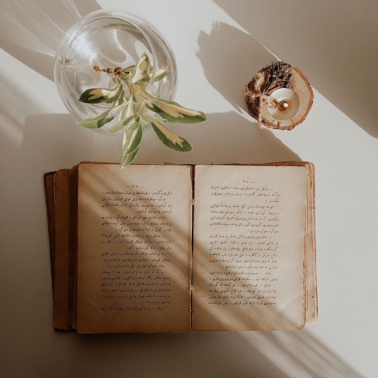 Open manuscript with handwritten text, a plant and a candle